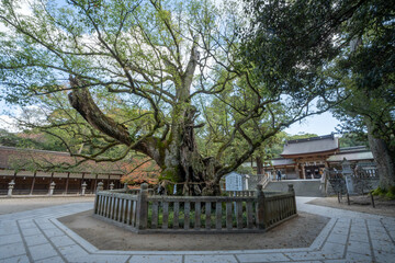 大山祇神社