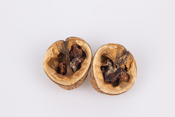 Close-up of a open walnut with rotten nut kernel. View of two walnuts isolated on white background. Rotten Nuts. Old Nuts.