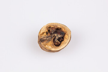 Close-up of a open walnut with rotten nut kernel. View of two walnuts isolated on white background. Rotten Nuts. Old Nuts.