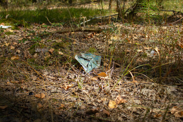 A medical face mask lies discarded in the forest on the ground. Pollution of the environment with masks during a pandemic. An old protective face mask is lying around in the forest.