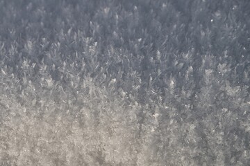 Snow close up to see single crystals