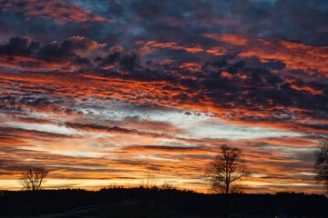 Wonderful red sky after sunset with trees in foreground