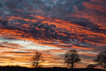 Obraz premium Wonderful red sky after sunset with trees in foreground