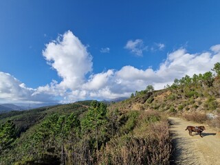 Alture di Varazze (Savona, Liguria)