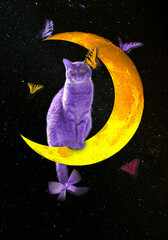 Cat on the moon