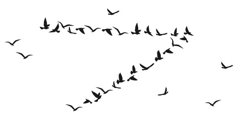 Vector silhouette of a flying bird. Inspiring ink for flash tattoos on the body. The concept of freedom and flight. Design element for tattoos, apps and websites