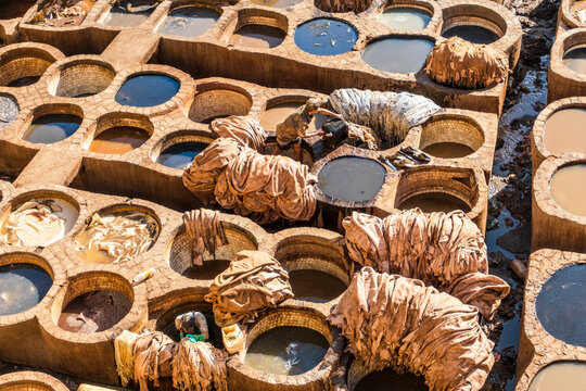Famous skin tannery in Fes, Morocco, Africa
