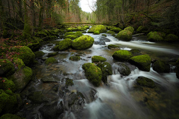 Wildbach im Allgäu.
