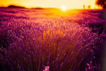 Fototapeta na wymiar Lavender landscape with beautiful sunset. AI