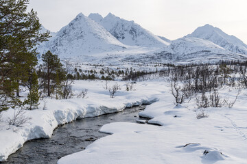Fototapeta na wymiar Norwegen, Winter, Senja, Hesten, Fjorde