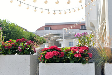 The restaurant is decorated with flowers.