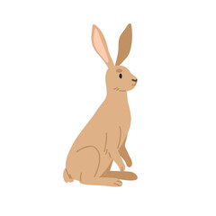 Wild brown hare. Forest animal with long ears. European woods jackrabbit. Cute jack rabbit, mammal character. Childish flat vector illustration isolated on white background