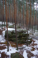 Rezerwat Skałki Piekło pod Niekłaniem w górach Świętokrzyskich
