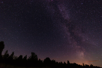 Fototapeta premium Starry night sky over a forest. Österbotten/Pohjanmaa, Finland