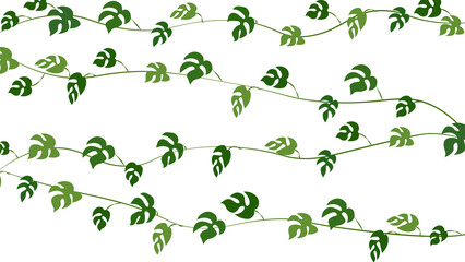 mini monstera leaf aroid crossing for design for home deco, wall art, social media post and story background  the background on PNG transparent 01