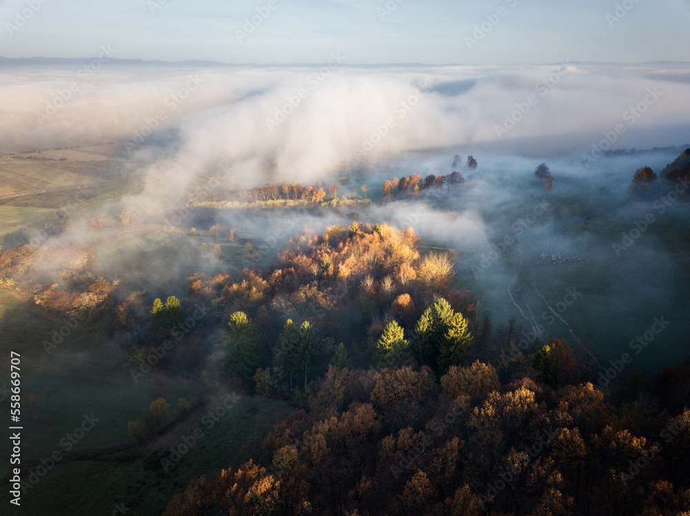 Wall mural Foggy forest at sunrise in autumn. Aerial view colorful trees in mist.  View from drone of mountain valley in low clouds - Wall murals