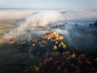 Foggy forest at sunrise in autumn. Aerial view colorful trees in mist.  View from drone of mountain valley in low clouds
