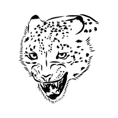 vector snow leopard, irbis wild cats graphic illustration