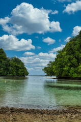 tropical island in the sea