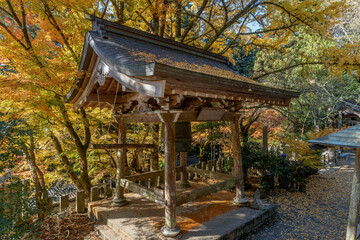 大宝寺