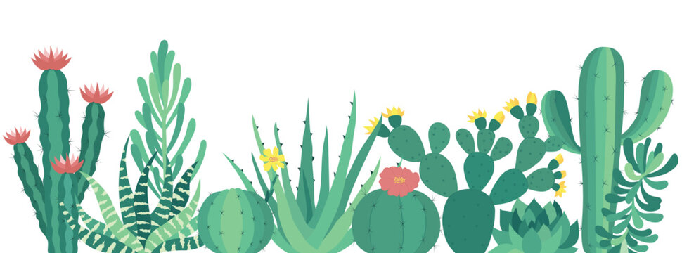 Cute vector succulents isolated on white background. Cacti with pink and yellow flowers. Colorful wallpaper