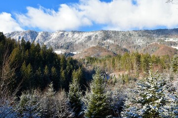 Mixed broadleaf and coniferous forest covered slopes bellow Jelovica in Gorenjska, Slovenia in...