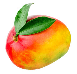 Mango fruit isolated on a white background