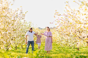 Fototapeta premium mom and dad with little daughter have fun and walk in a blooming spring garden. 
