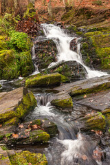 Selkewasserfall im Harz, Deutschland
