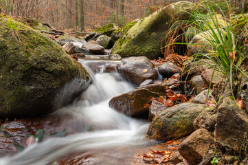 Fluss Ilse im Harz, Deutschland