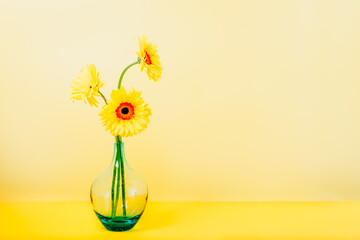 Bouquet of yellow daisy-gerbera flowers in a stylish glass vase on bright yellow background. Monochrome. Floral background with copy space.