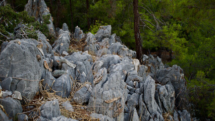 The meeting point of the Aegean and the Mediterranean; Dalyan. Iztuzu beach, the spawning area of the caretta caretta turtles. Dalyan Delta, famous for its reed lagoons in Mugla, Koycegiz region.