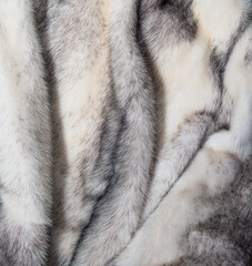 White mink fur texture background