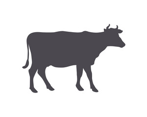 Cow graphic icon. Vector illustration