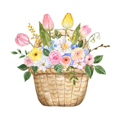 Spring floral bouquet in a basket. Watercolor illustration. Pink and yellow tulips, narcissus, roses, green foliage arrangement.