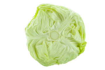 Fototapeta premium Fresh green cabbage bottom view isolated on white background with clipping path