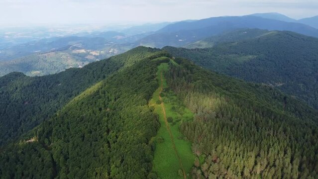 Montagne enti&egrave;rement recouverte de verdures et de v&eacute;g&eacute;tation dans les Pyr&eacute;n&eacute;es. Colline verte couverte de sapins et jonch&eacute;e de p&acirc;turages.