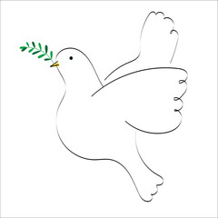 paloma blanca con rama de olivo - paz - obrazy, fototapety, plakaty