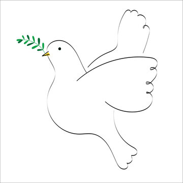 paloma blanca con rama de olivo - paz