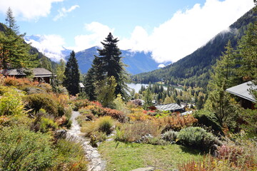 Fototapeta na wymiar View on the Flore-Alpe Alpine Botanical Garden is a botanical garden located in Champex-Lac
