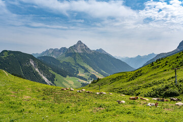 Fototapeta na wymiar Alpenpanorama in Österreich mit Kühen