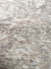 wooden background with natural texture