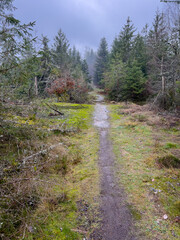 Fototapeta premium Frankreich Felsen Elsass