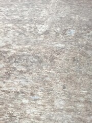 wooden background with natural texture