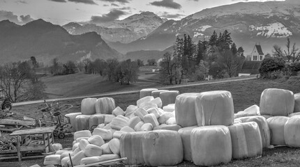 Hay bales at farm house