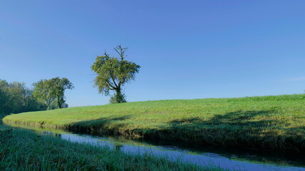 Small curved river with dew drops on the meadow