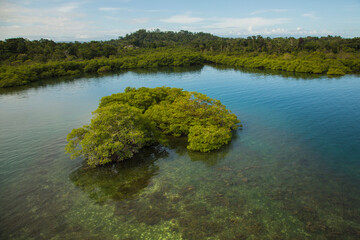 Karibik Mangroven Inseln