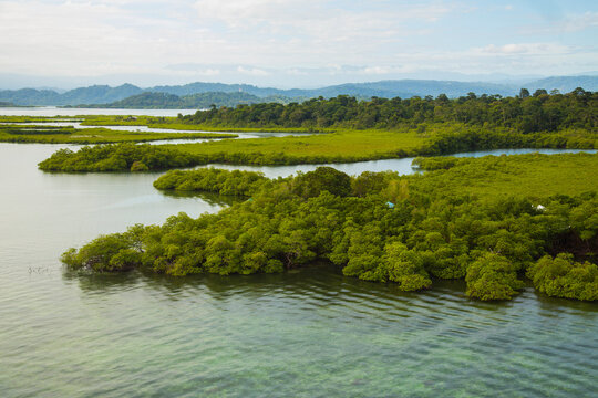 Cari Bilder Durchsuchen 3,825 Archivfotos, und Videos