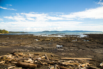 K&uuml;stenabschnitt