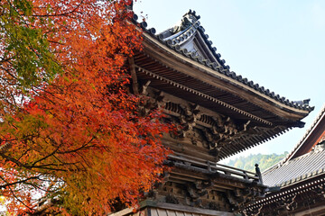 Fototapeta na wymiar 秋の滋賀県大津市西教寺の鐘楼と紅葉